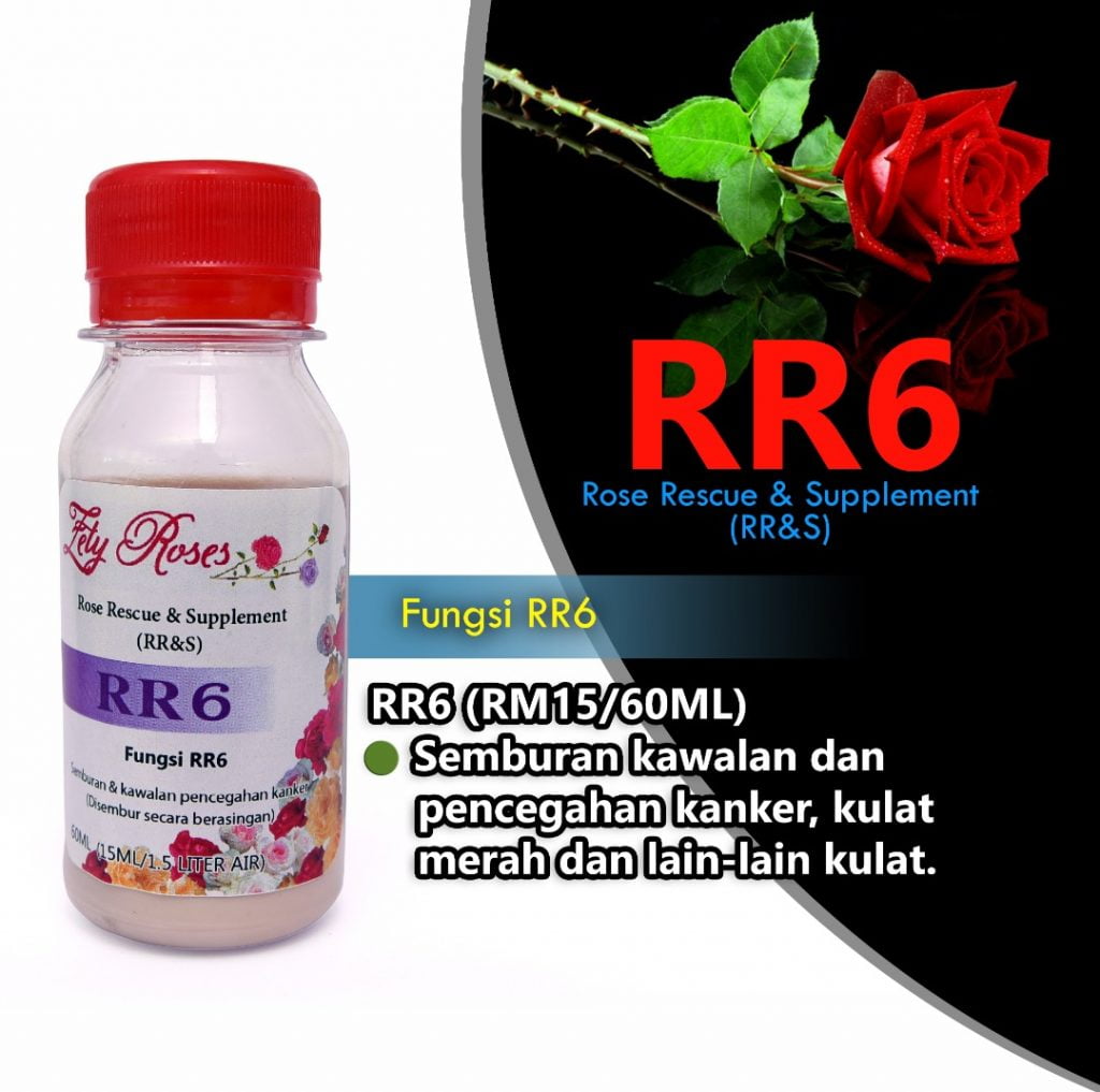Kit Penjagaan Bunga Ros - Zety Roses